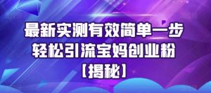 最新实测有效简单一步轻松引流宝妈创业粉【揭秘】-风淘社