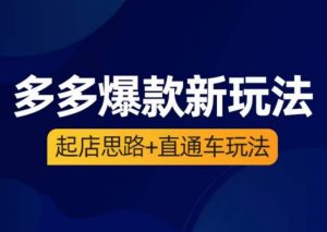海神·多多爆款新玩法,起店思路+直通车玩法(3节精华课)-风淘社