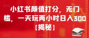 小红书颜值打分，无门槛，一天玩两小时日入300+【揭秘】-风淘社