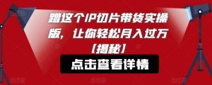 蹭这个IP切片带货实操版,让你轻松月入过万【揭秘】-风淘社