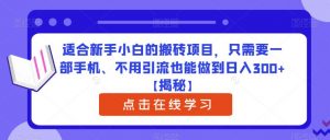 适合新手小白的搬砖项目,只需要一部手机、不用引流也能做到日入300+【揭秘】-风淘社