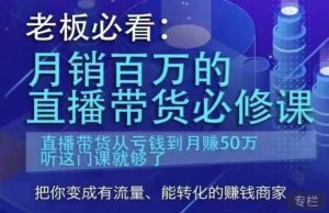 老板必看:月销百万的直播带货必修课,直播带货从亏钱到月赚50万,听这门课就够了-风淘社
