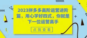 2023拼多多高阶运营进阶篇，用心学好四式，你就是下一位运营高手-风淘社