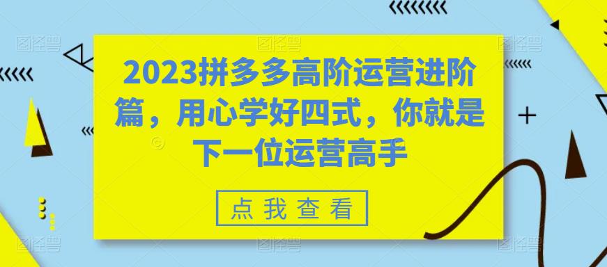 2023拼多多高阶运营进阶篇，用心学好四式，你就是下一位运营高手-风淘社