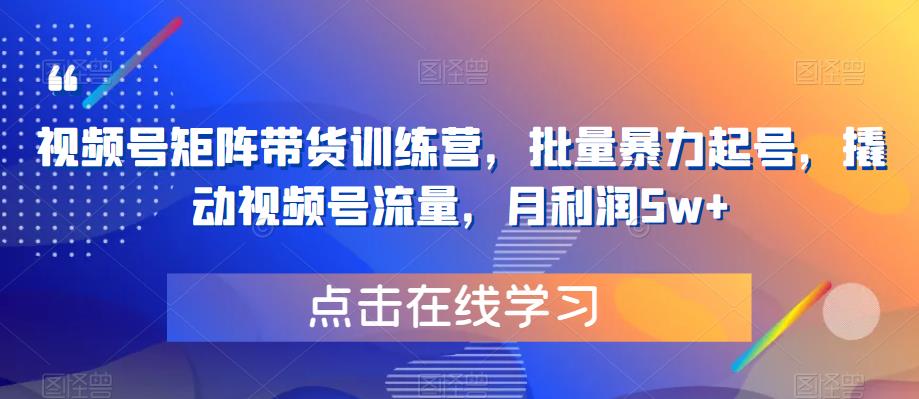 视频号矩阵带货训练营,批量暴力起号,撬动视频号流量,月利润5w+-风淘社
