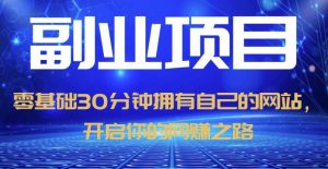 零基础30分钟拥有自己的网站，日赚1000+，开启你的网赚之路-风淘社