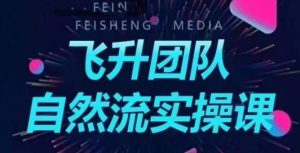 飞升团队课程自然流实操课,抖音半无人起号主播间搭建教学-风淘社