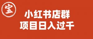 宝哥小红书店群项目,日入过千(图文教程)【揭秘】-风淘社