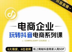 玺承·电商企业玩转抖音电商系列课,6大维度,6位老师,线上揭秘抖音商家入局SOP-风淘社