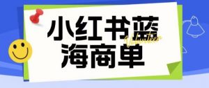 价值2980的小红书商单项目暴力起号玩法,一单收益200-300(可批量放大)-风淘社