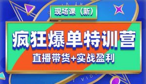 抖音短视频疯狂爆单特训营现场课(新)直播带货+实战案例-风淘社