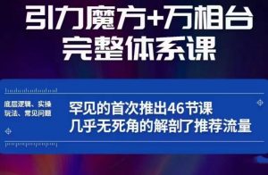 引力魔方万相台完整体系课：底层逻辑、实操玩法、常见问题，无死角解剖推荐流量-风淘社