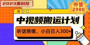 外面卖2980元2023黑科技操作中视频撸收益,听话照做小白日入300+-风淘社