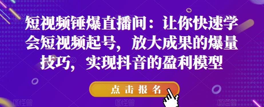 短视频锤爆直播间：让你快速学会短视频起号，放大成果的爆量技巧，实现抖音的盈利模型-风淘社