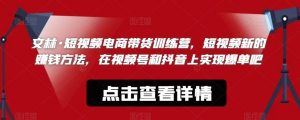 文林·短频视电商带训货练营,短视频的新赚钱方法,在视号频和抖音实上现爆单吧-风淘社