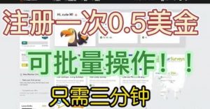 国外项目注册一次0.5美金，只需三分钟无脑操作，可批量同时放大操作，小白工作室福利【揭秘】-风淘社