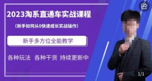 2023淘系直通车保姆式运营讲解，新手如何从0快速成长实战操作，新手多方位全能教学-风淘社