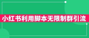 小红书利用脚本无限群引流日引创业粉300+【揭秘】-风淘社
