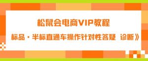松鼠会电商VIP教程：松鼠《付费推广标品·半标直通车操作针对性答疑&诊断》-风淘社
