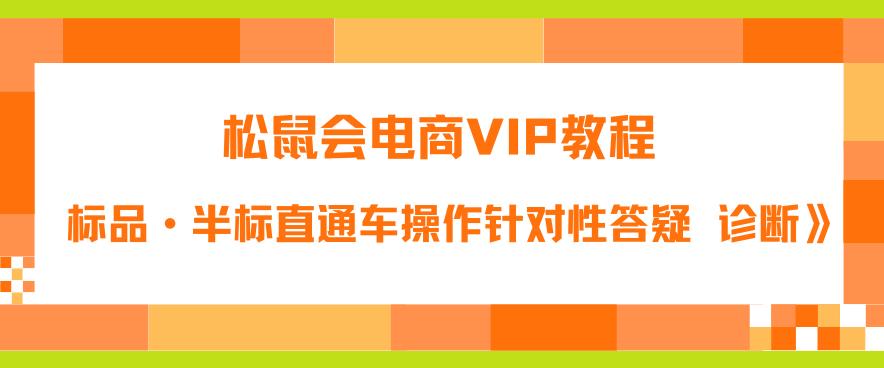 松鼠会电商VIP教程：松鼠《付费推广标品·半标直通车操作针对性答疑&诊断》-风淘社
