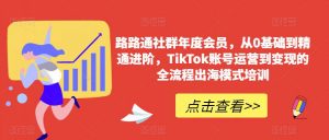 路路通社群年度会员,从0基础到精通进阶,TikTok账号运营到变现的全流程出海模式培训-风淘社