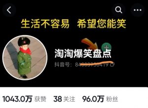 价值1000的搞笑盘点大V淘淘爆笑盘点详细课程+软件，中视频变现-风淘社
