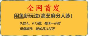 闲鱼新玩法(高芝麻分人脉)0投入0门槛,每天一小时,轻松月入过万【揭秘】-风淘社
