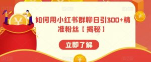 如何用小红书群聊日引300+精准粉丝【揭秘】-风淘社
