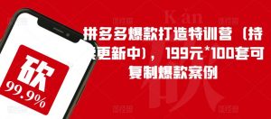拼多多爆款打造特训营(持续更新中),199元*100套可复制爆款案例-风淘社