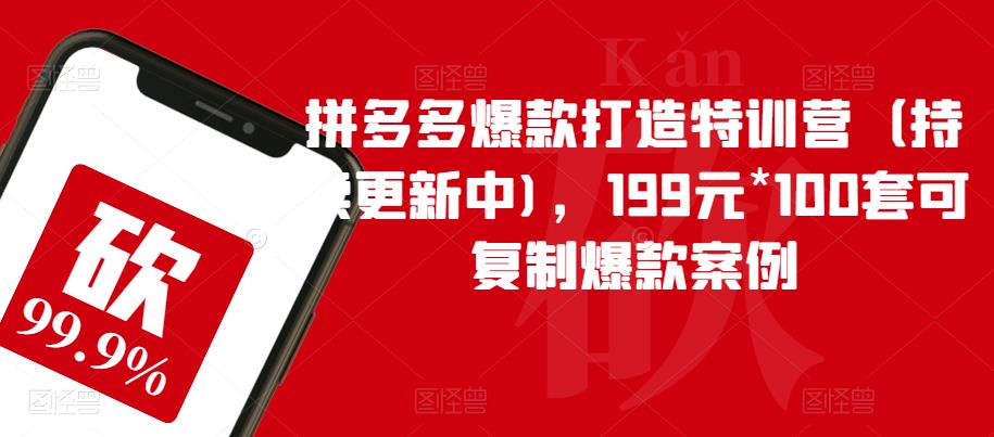拼多多爆款打造特训营(持续更新中),199元*100套可复制爆款案例-风淘社