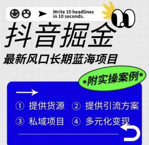 抖音掘金最新风口,长期蓝海项目,日入无上限(附实操案例)【揭秘】-风淘社
