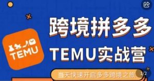 大鹏出海·拼多多跨境temu运营指导,开店注册+选品+核价上架,日出千单实战课-风淘社