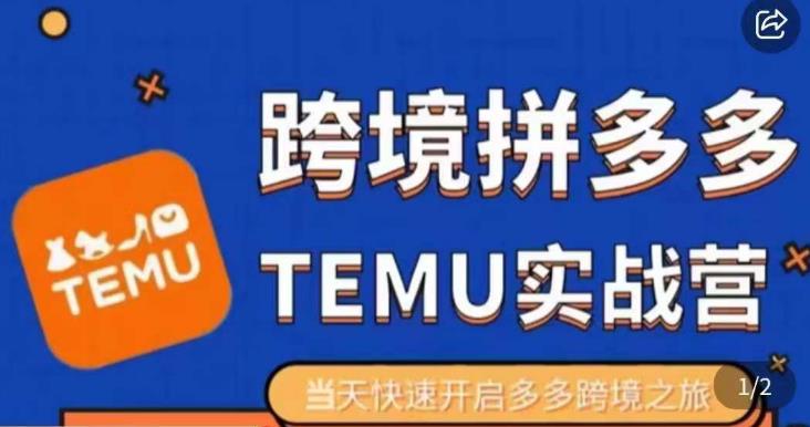 大鹏出海·拼多多跨境temu运营指导,开店注册+选品+核价上架,日出千单实战课-风淘社