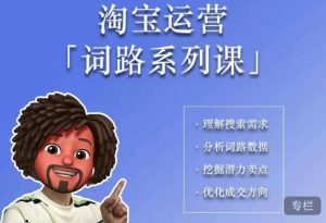 照顾酱·词路篇,手把手带你理解关键词背后的需求,想要做好淘宝,就必须理解词路-风淘社