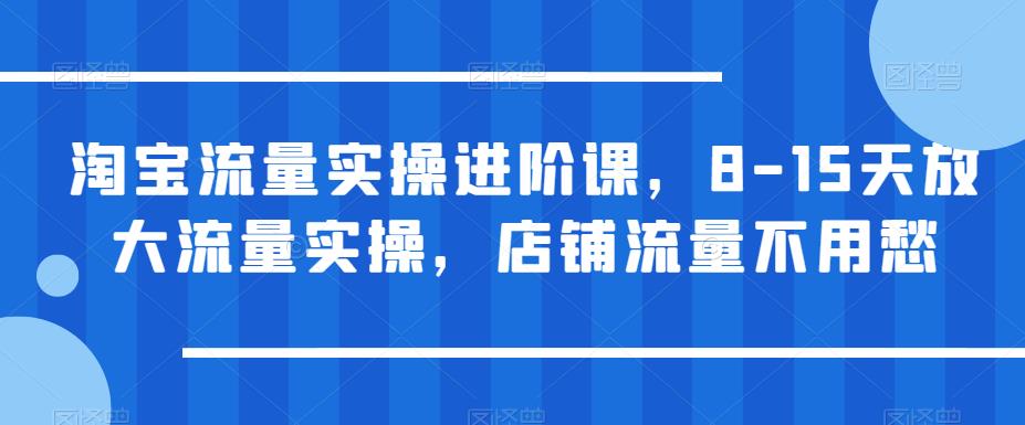 淘宝流量实操进阶课，8-15天放大流量实操，店铺流量不用愁-风淘社