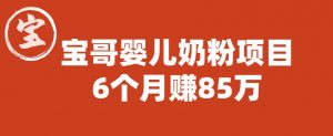 宝哥婴儿奶粉项目,6个月赚85w【图文非视频】【揭秘】-风淘社