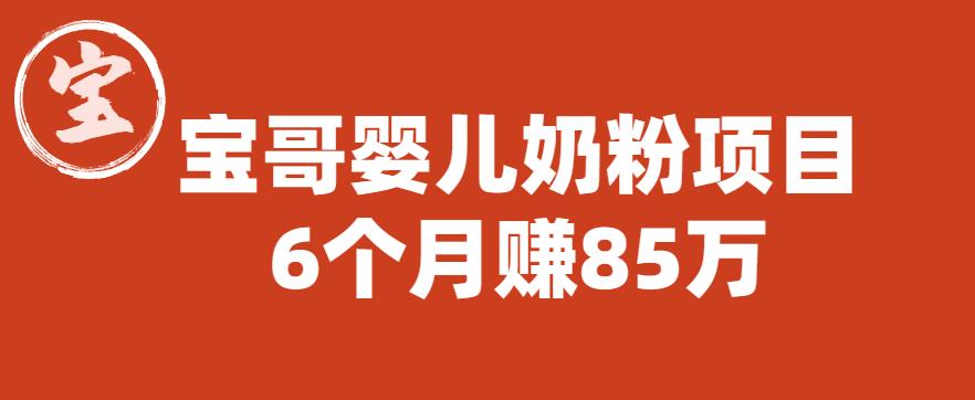 宝哥婴儿奶粉项目,6个月赚85w【图文非视频】【揭秘】-风淘社