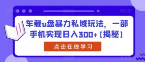 车载u盘暴力私域玩法，一部手机实现日入300+【揭秘】-风淘社
