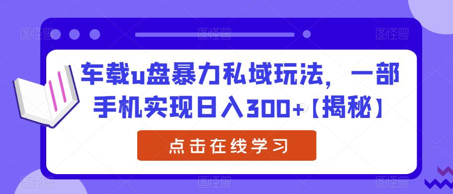 车载u盘暴力私域玩法，一部手机实现日入300+【揭秘】-风淘社