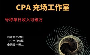 张子凡·20年实战经验,揭秘营销背后的底层逻辑,突破思维局限,从根本上破解营销难题-风淘社