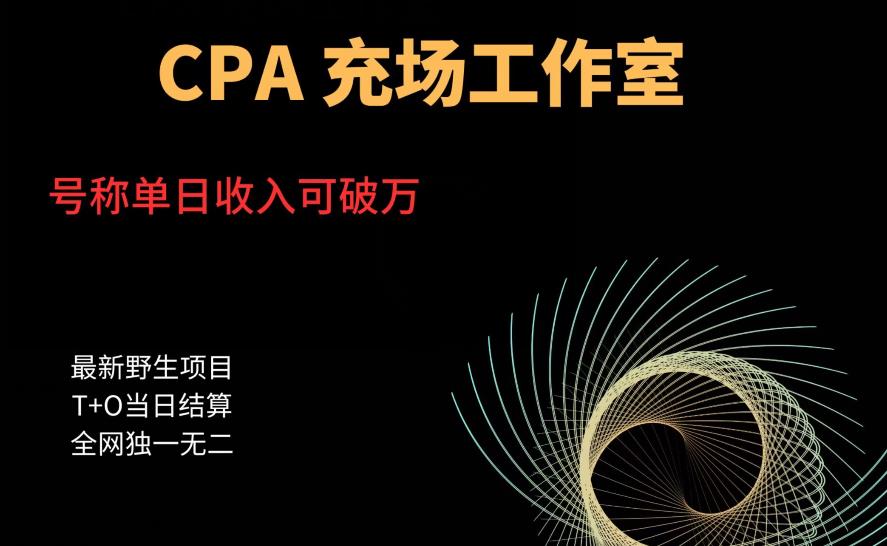 张子凡·20年实战经验,揭秘营销背后的底层逻辑,突破思维局限,从根本上破解营销难题-风淘社