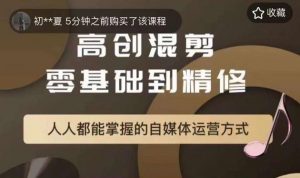 萌萌酱追剧高创混剪零基础到精通,人人都能掌握的自媒体运营方式-风淘社