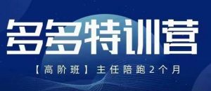 纪主任·5月最新多多特训营高阶班,玩法落地实操,多多全掌握-风淘社