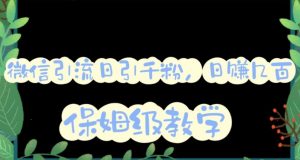 微信互推圈半自动引流方案，矩阵操作日引千人思路【详细视频教程】-风淘社