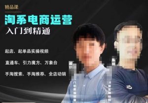 2023手淘搜索实操课+体系化课程,起店起单品实操视频课程-风淘社