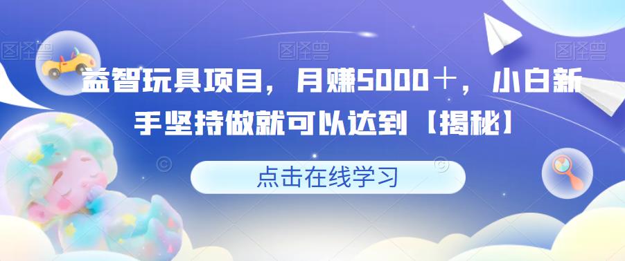 益智玩具项目，月赚5000＋，小白新手坚持做就可以达到【揭秘】-风淘社