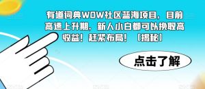 有道词典WOW社区蓝海项目，目前高速上升期，新人小白都可以换取高收益！赶紧布局！【揭秘】-风淘社