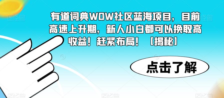 有道词典WOW社区蓝海项目，目前高速上升期，新人小白都可以换取高收益！赶紧布局！【揭秘】-风淘社