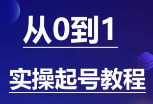 石野·小白起号实操教程,掌握各种起号的玩法技术,了解流量的核心-风淘社