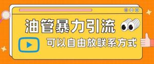 油管暴力引流,可以自由放联系方式【揭秘】-风淘社